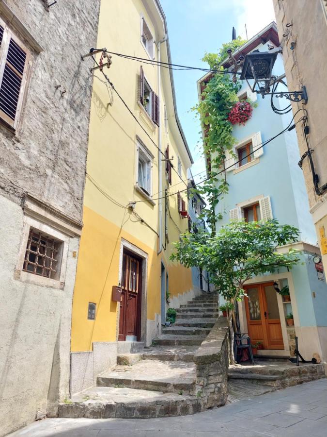 Appartement Cebelica