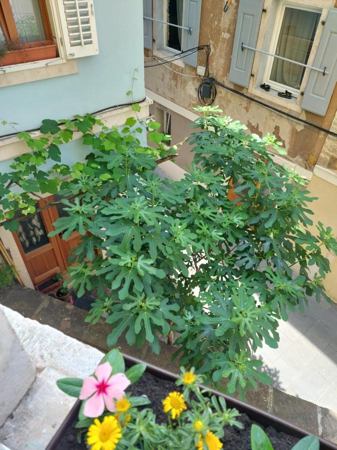 Appartement Cebelica *